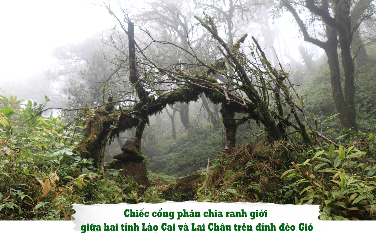 Đường đá cổ Pavi huyền thoại: Trầm tích giữa rừng thẳm