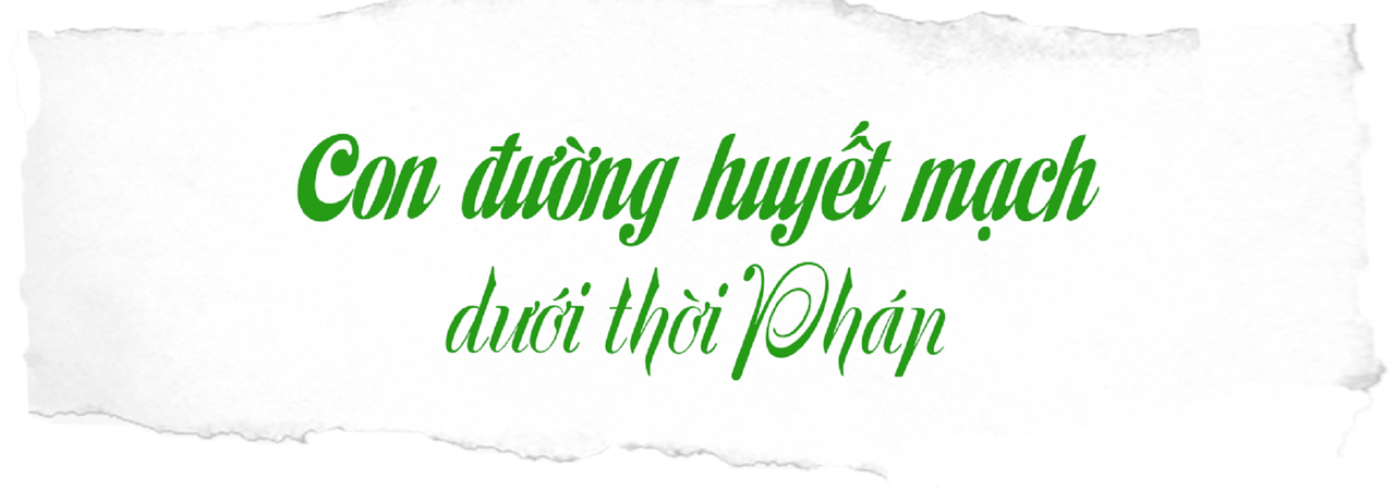 Đường đá cổ Pavi huyền thoại: Trầm tích giữa rừng thẳm