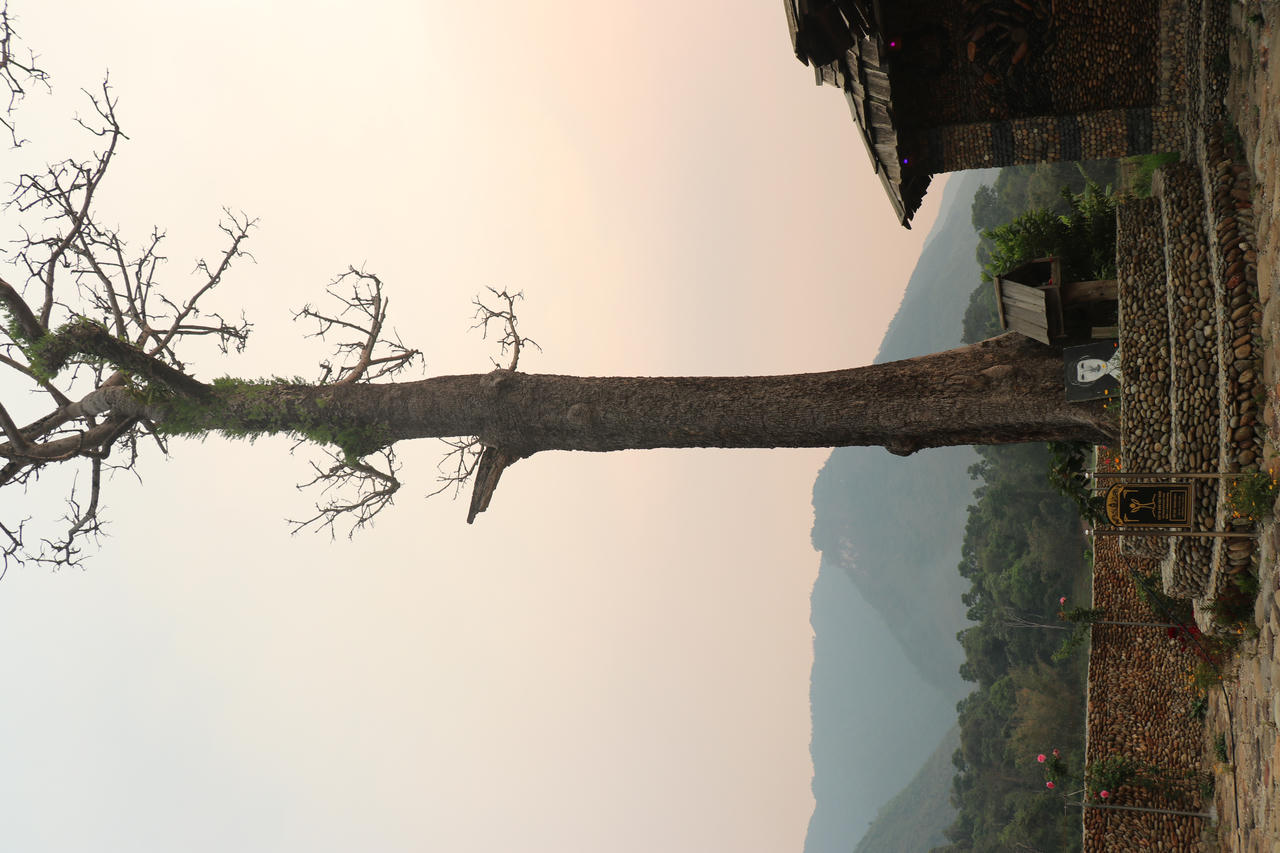 Về “miền cổ tích” Ngọc Chiến nghe chuyện về 7 cây di sản Việt Nam 