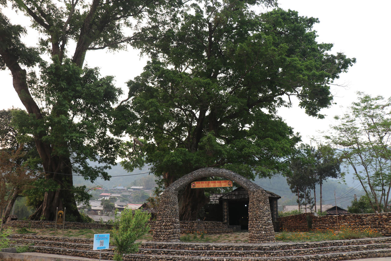 Về “miền cổ tích” Ngọc Chiến nghe chuyện về 7 cây di sản Việt Nam 