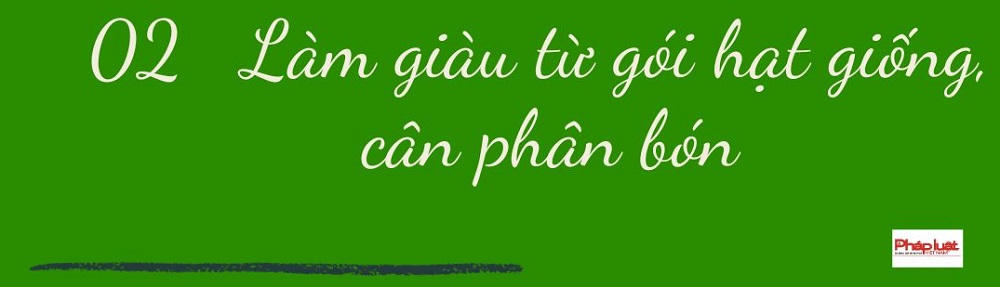 Bỏ phố về quê, chàng trai người Mường góp phần thay đổi diện mạo xã nghèo 
