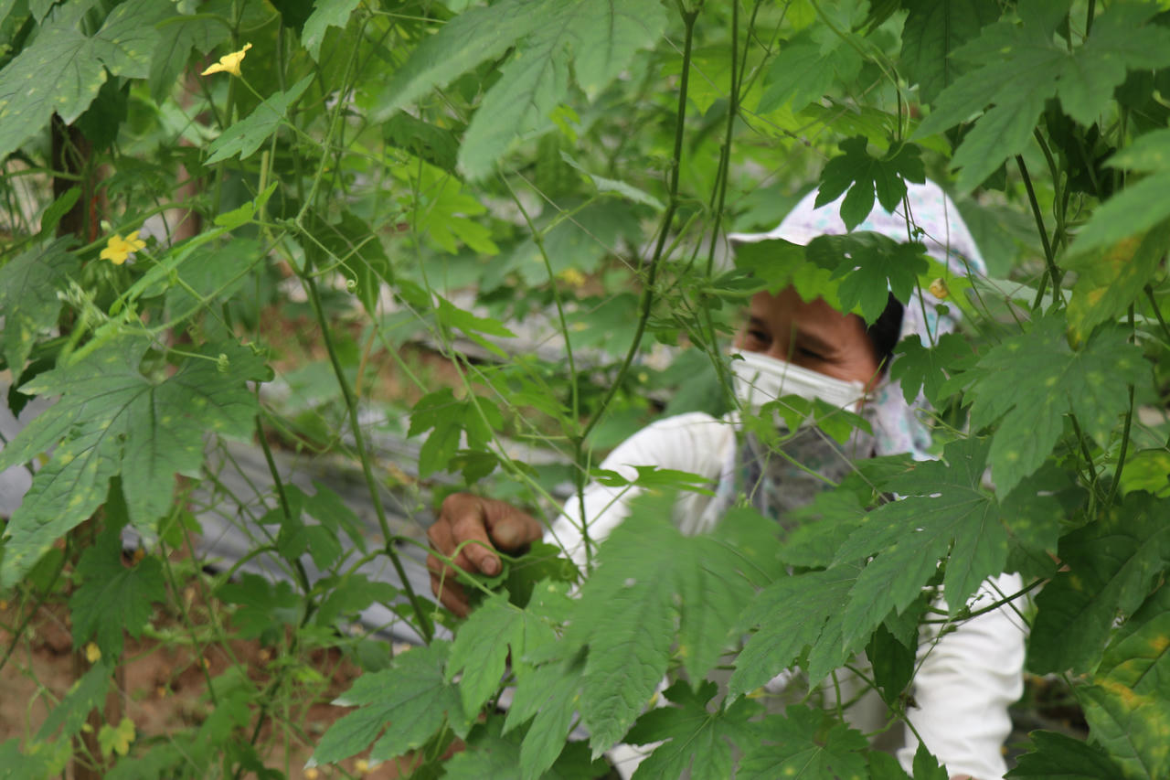 Bỏ phố về quê, chàng trai người Mường góp phần thay đổi diện mạo xã nghèo 