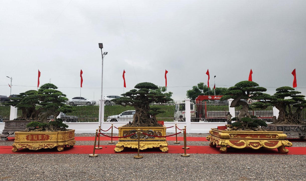 Triển lãm sinh vật cảnh quy mô lớn nhất từ trước đến nay chào mừng dịp lễ 30/4 -1/5 