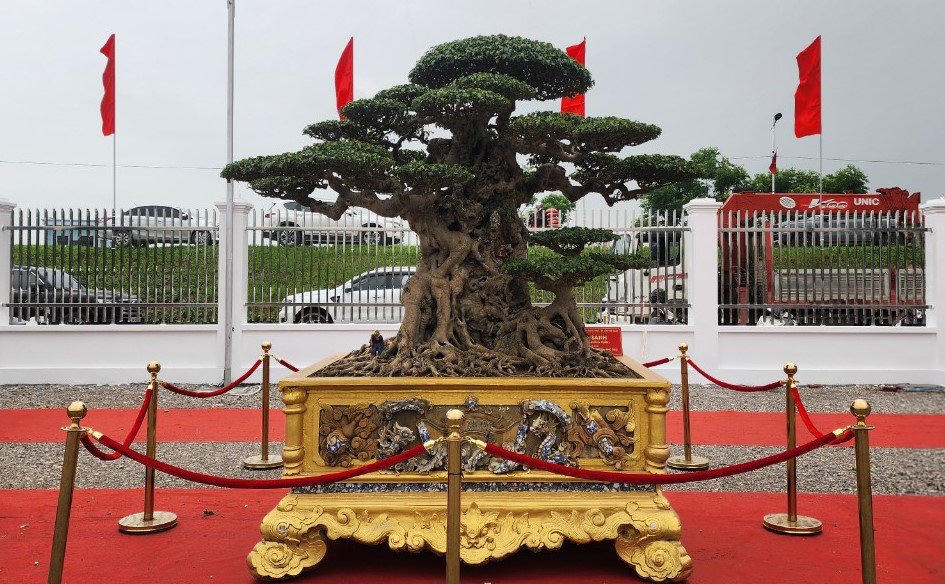 Triển lãm sinh vật cảnh quy mô lớn nhất từ trước đến nay chào mừng dịp lễ 30/4 -1/5 