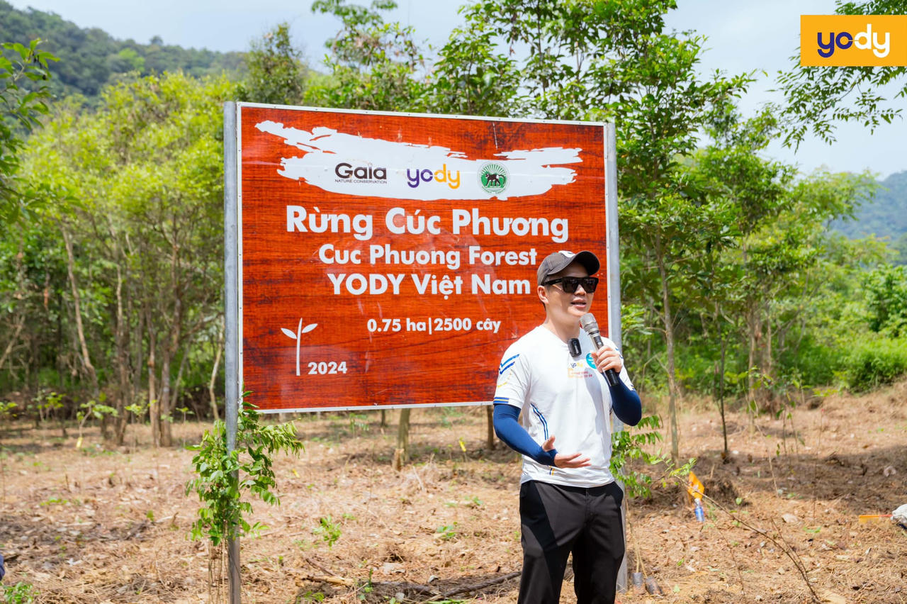 YODY trên hành trình phủ xanh rừng Việt Nam