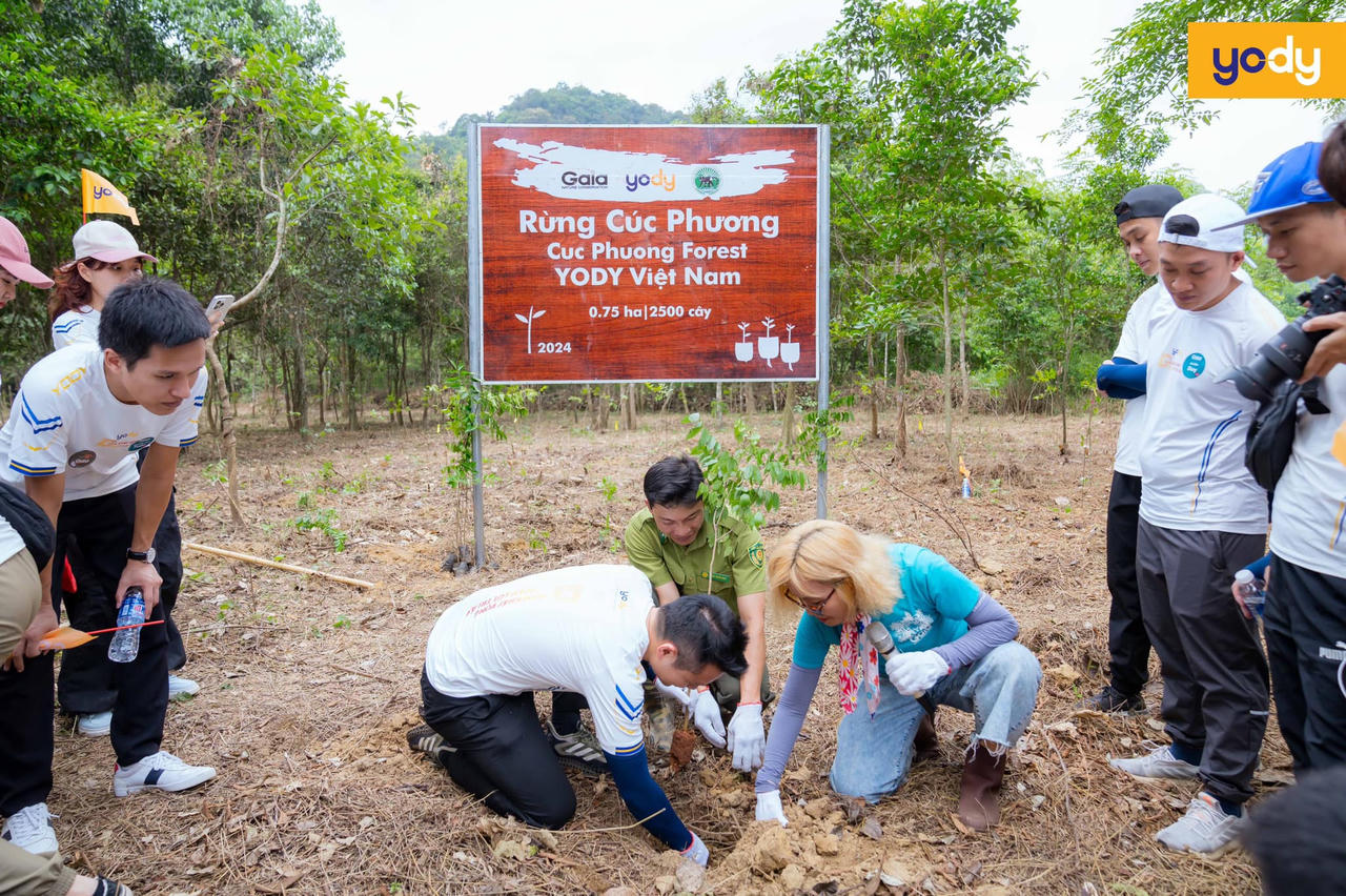 YODY trên hành trình phủ xanh rừng Việt Nam