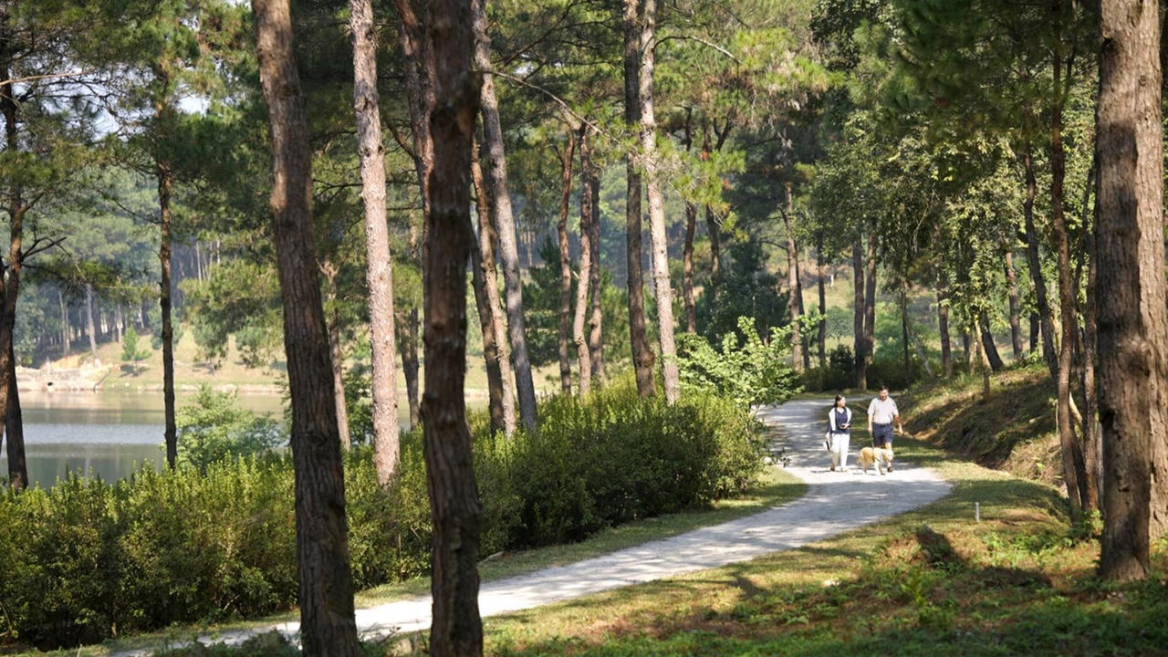 Thanh Xuan Valley và những điểm chạm chăm sóc sức khỏe giữa triệu tán thông 50 năm 