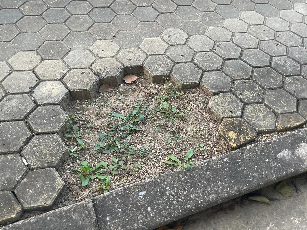 Công viên Hà Nội xuống cấp trầm trọng, gây nguy hiểm cho người dân