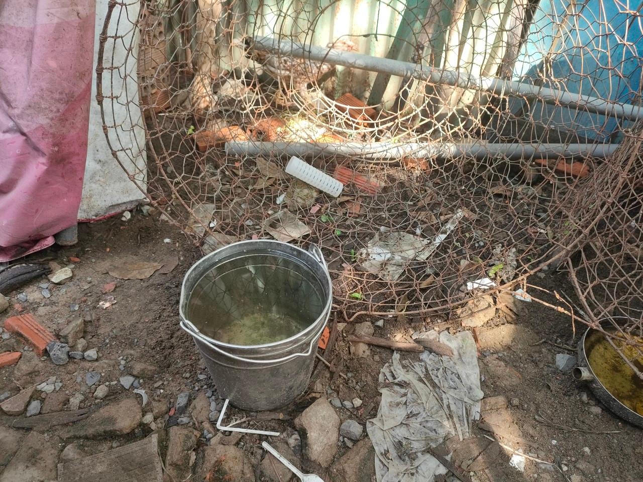 Cận cảnh nơi phát sinh mầm bệnh sốt xuất huyết nhà nào cũng có