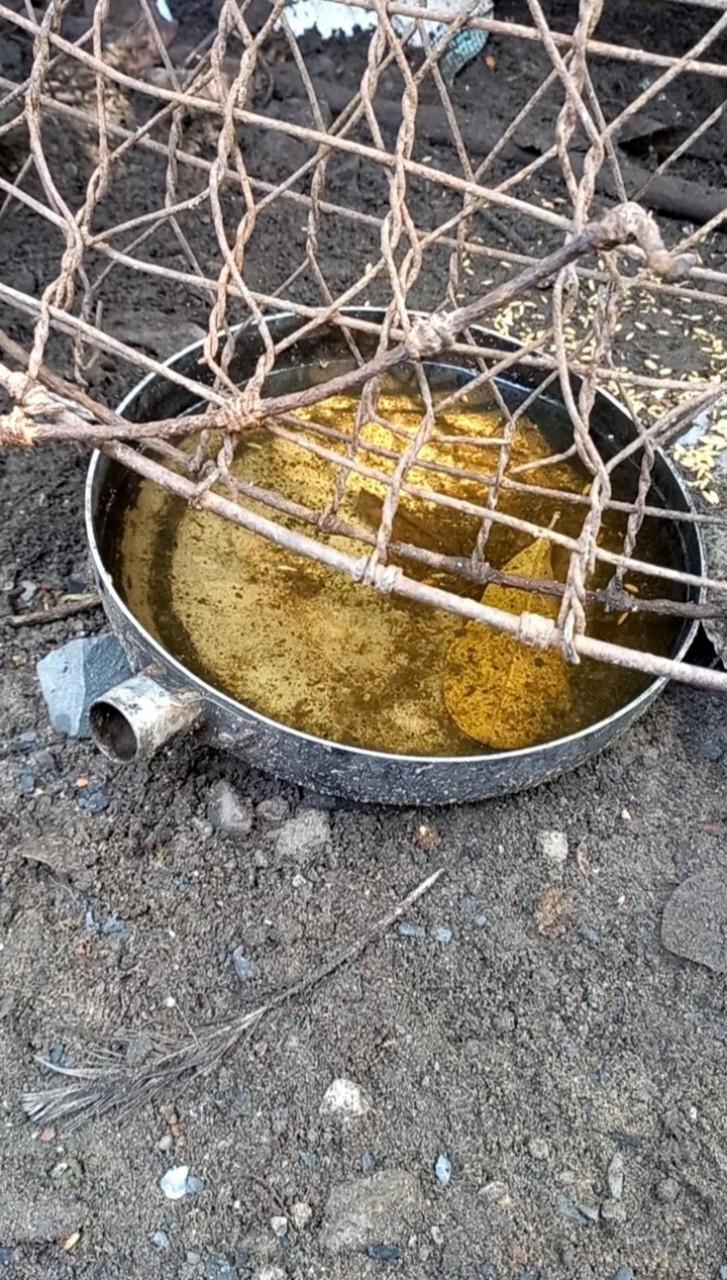 Cận cảnh nơi phát sinh mầm bệnh sốt xuất huyết nhà nào cũng có