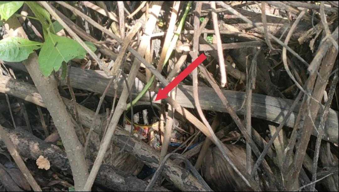 Cận cảnh nơi phát sinh mầm bệnh sốt xuất huyết nhà nào cũng có