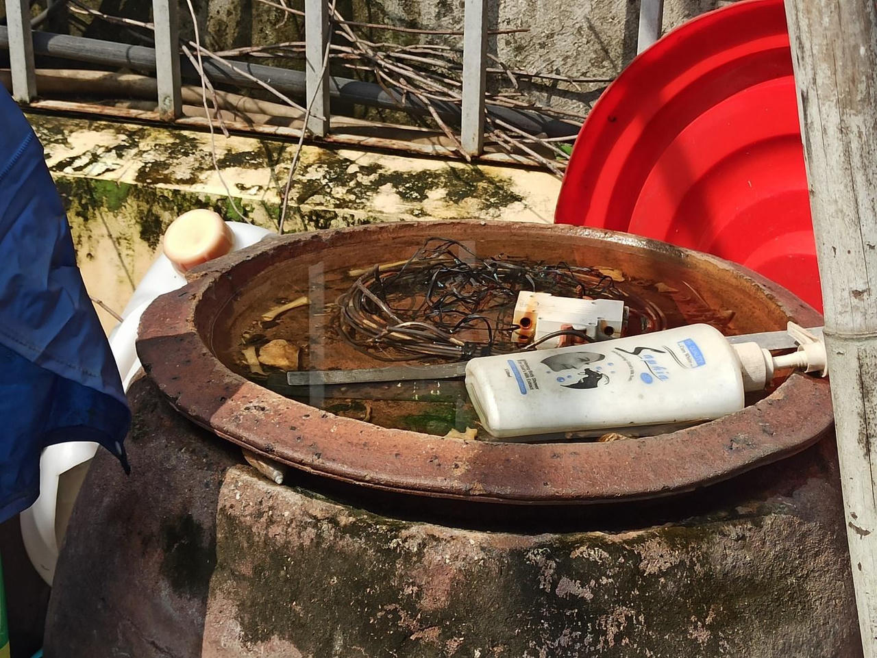 Cận cảnh nơi phát sinh mầm bệnh sốt xuất huyết nhà nào cũng có