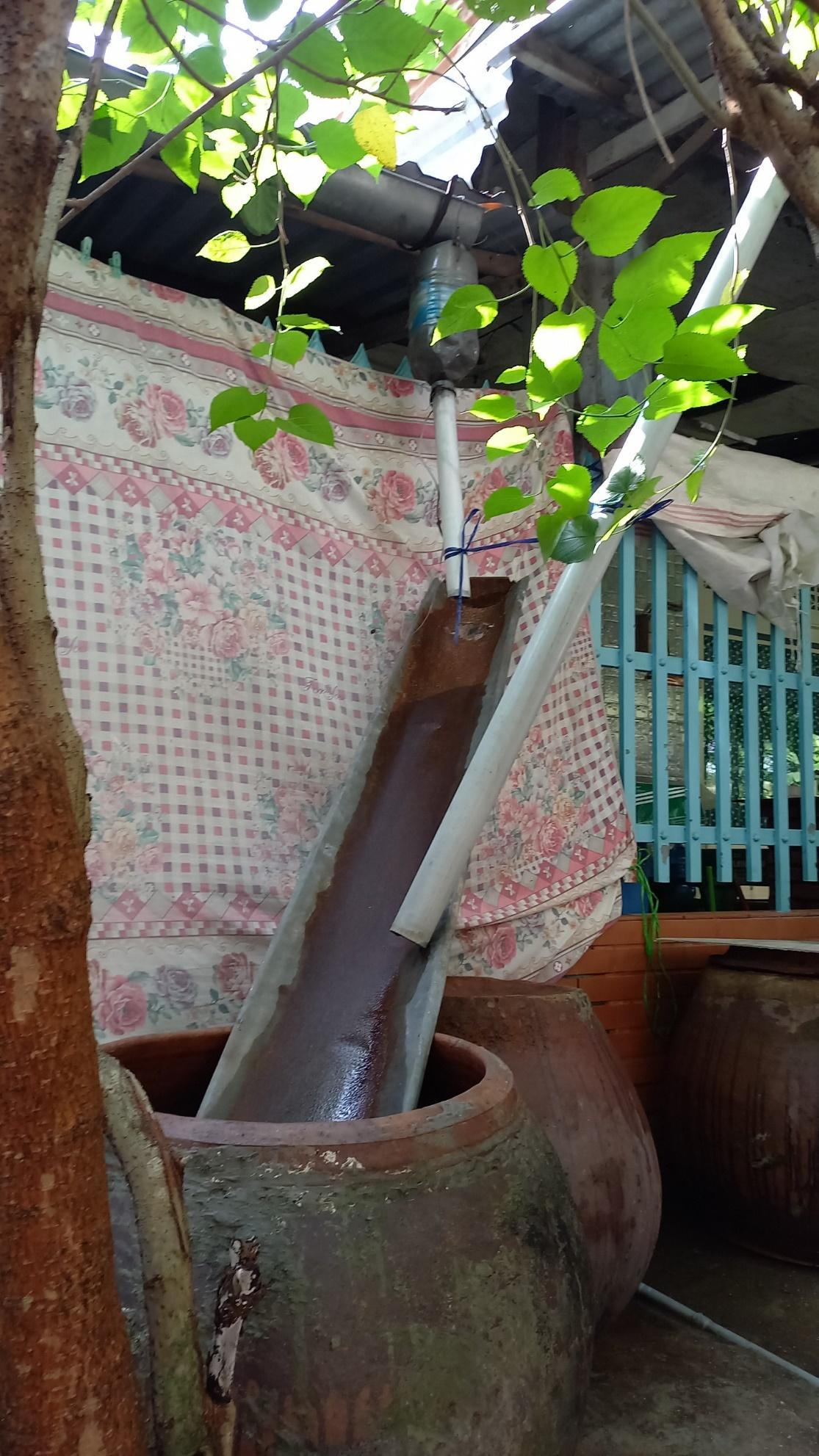 Cận cảnh nơi phát sinh mầm bệnh sốt xuất huyết nhà nào cũng có