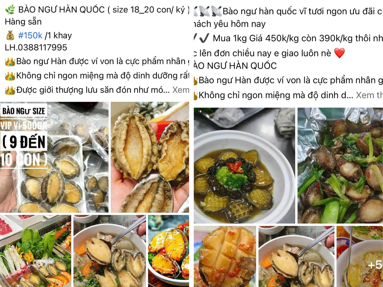 Bào ngư Hàn Quốc giá rẻ tràn lan 'chợ mạng'