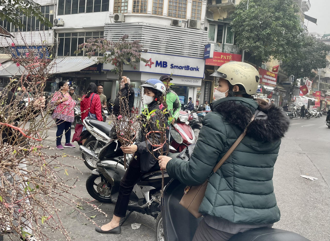 Đào xuân cuối vụ xuống phố dịp Rằm tháng Giêng