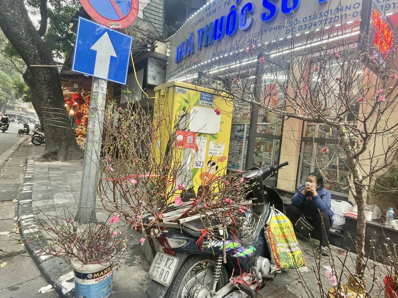 Đào xuân cuối vụ xuống phố dịp Rằm tháng Giêng