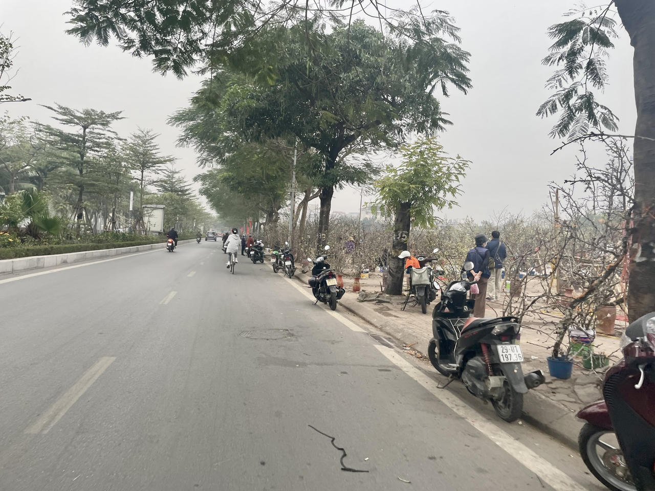 Đào xuân cuối vụ xuống phố dịp Rằm tháng Giêng