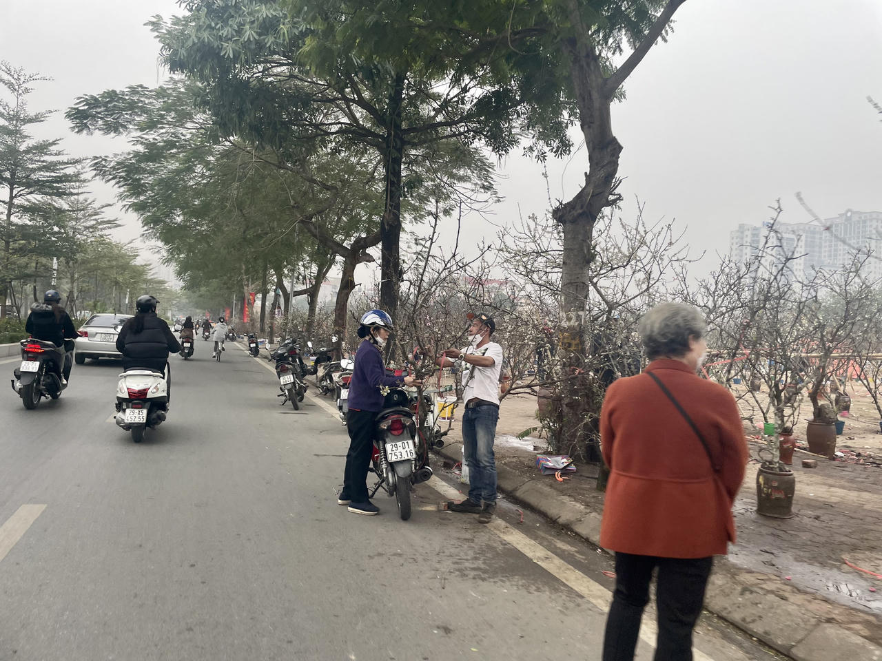 Đào xuân cuối vụ xuống phố dịp Rằm tháng Giêng