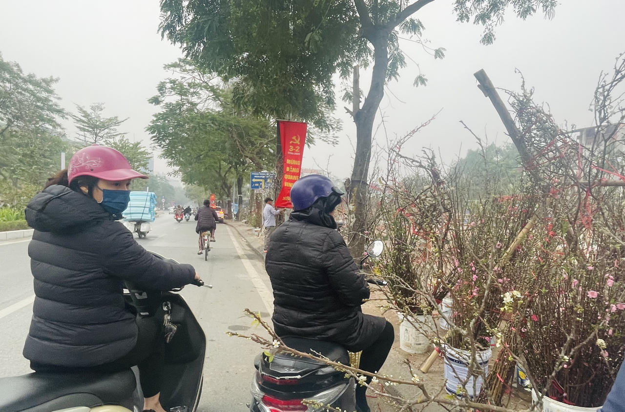 Đào xuân cuối vụ xuống phố dịp Rằm tháng Giêng