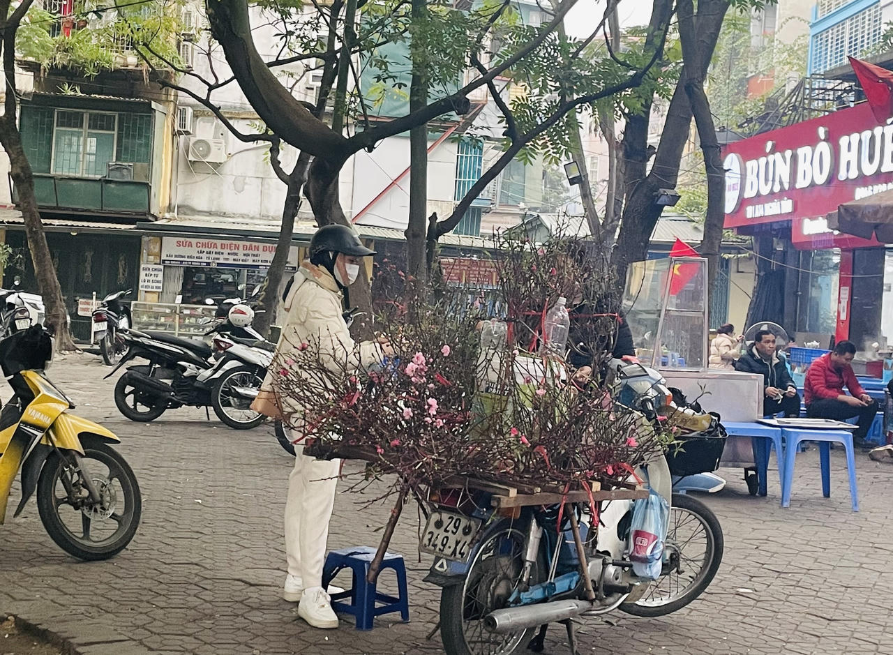 Đào xuân cuối vụ xuống phố dịp Rằm tháng Giêng