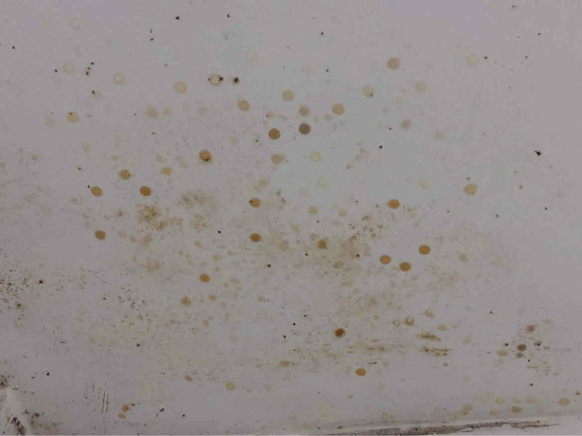 Người Hà Nội 'vật lộn' với trời nồm