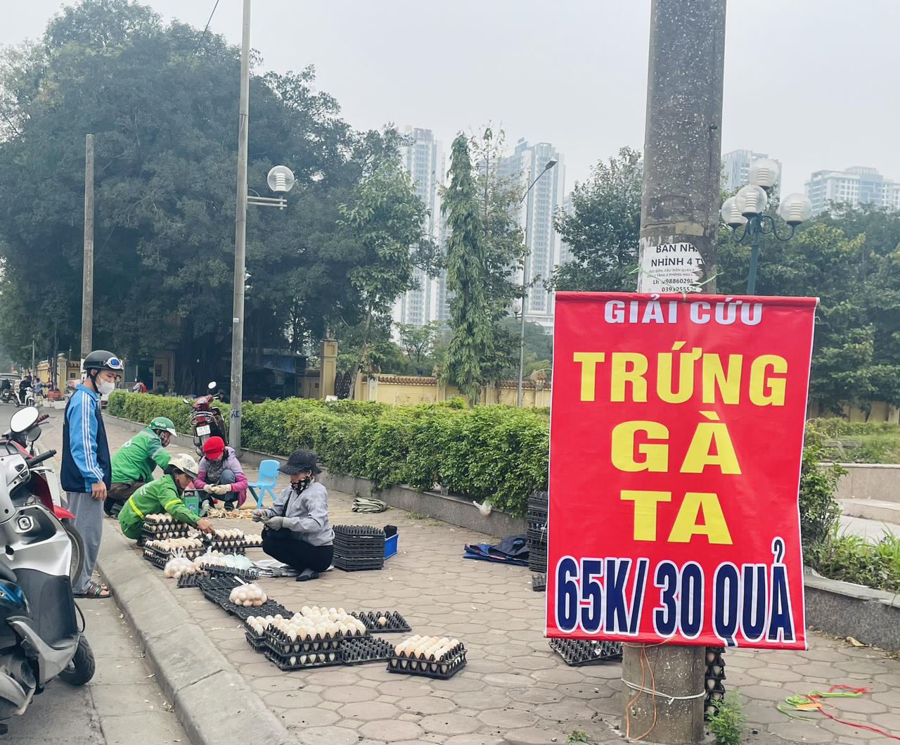 Giải cứu trứng gà 65.000 đồng/30 quả tràn lan vỉa hè Hà Nội