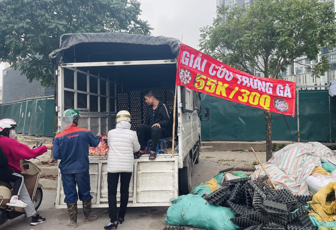 Giải cứu trứng gà 65.000 đồng/30 quả tràn lan vỉa hè Hà Nội