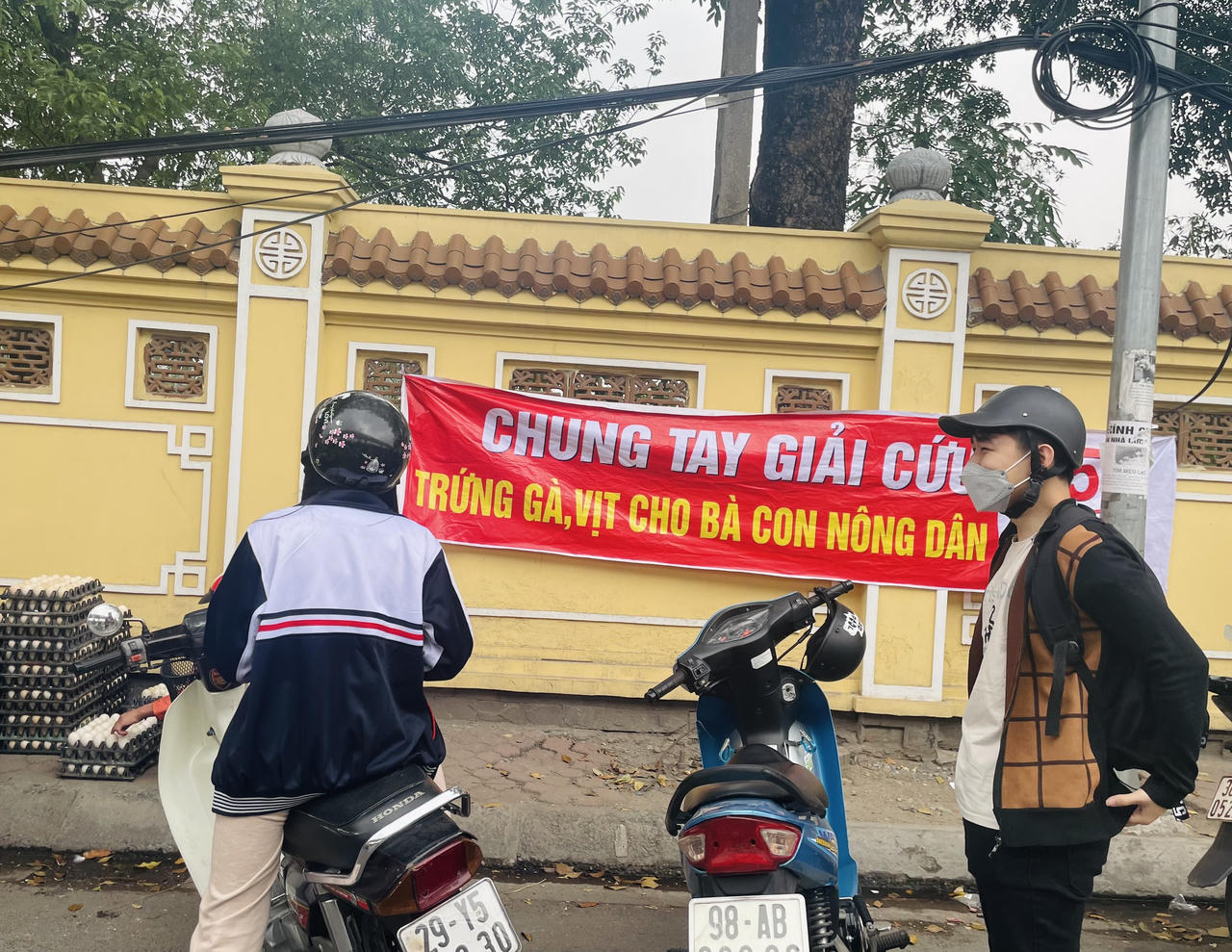 Giải cứu trứng gà 65.000 đồng/30 quả tràn lan vỉa hè Hà Nội