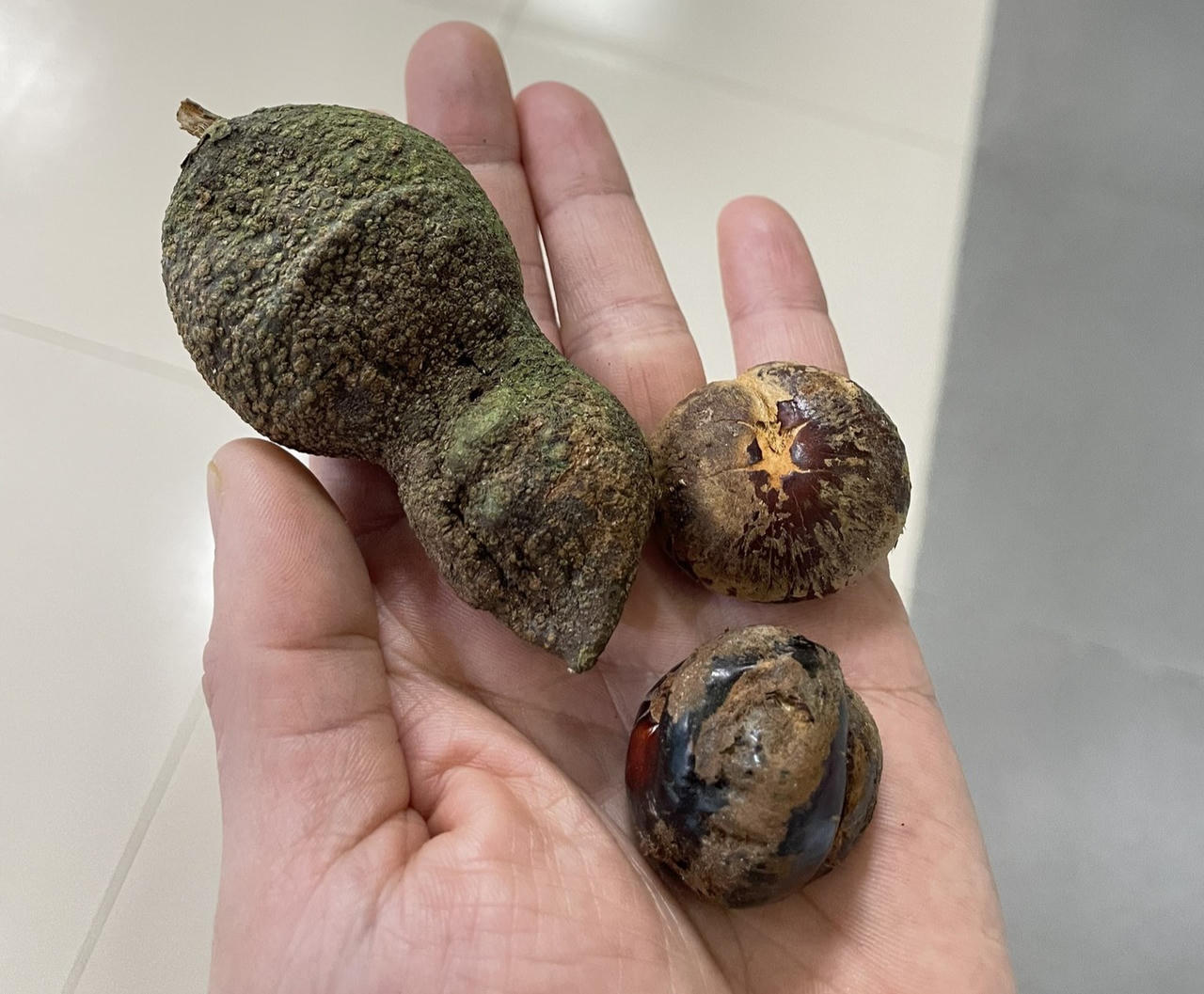 'Nhận diện' loại quả dùng làm thuốc trừ sâu khiến người đàn ông suýt chết