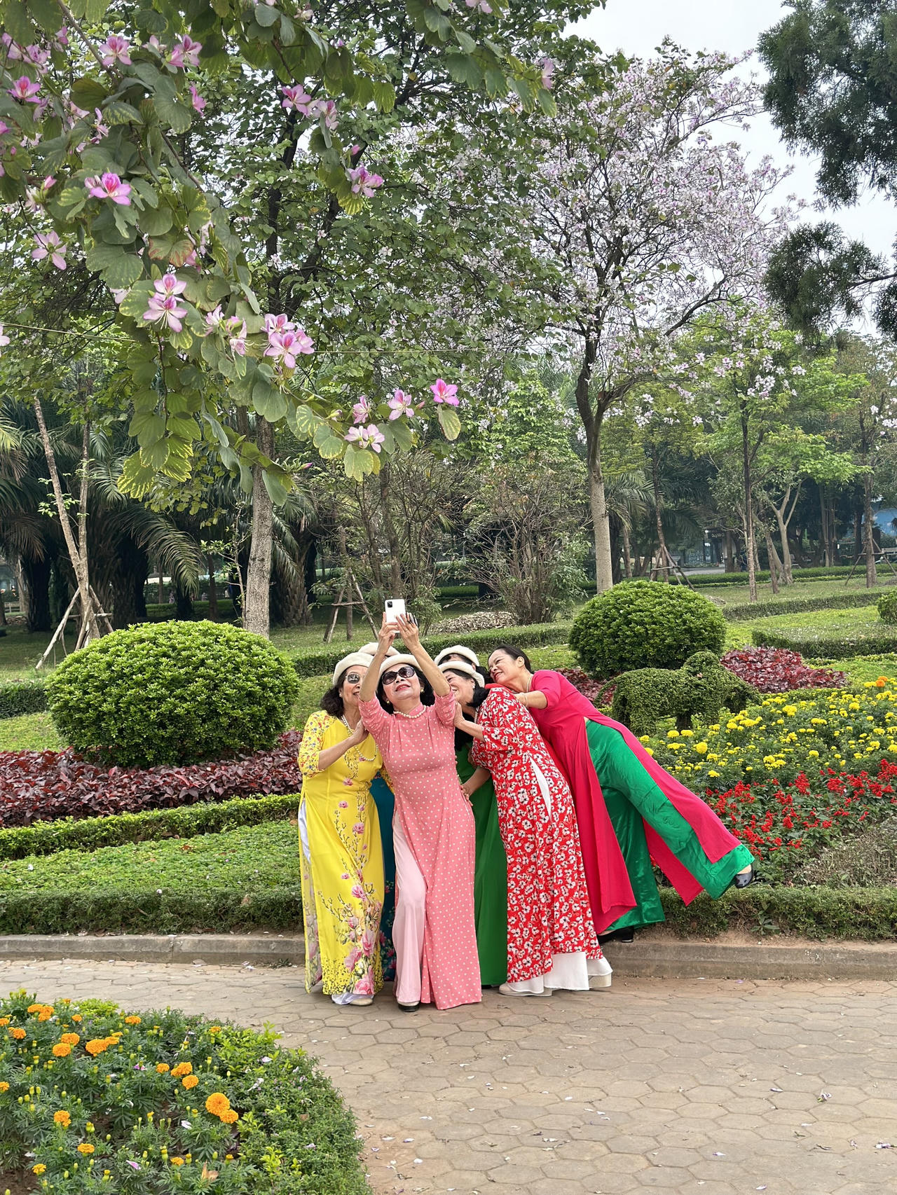 Người Hà Nội đội nắng chụp ảnh với loài hoa của núi rừng Tây Bắc