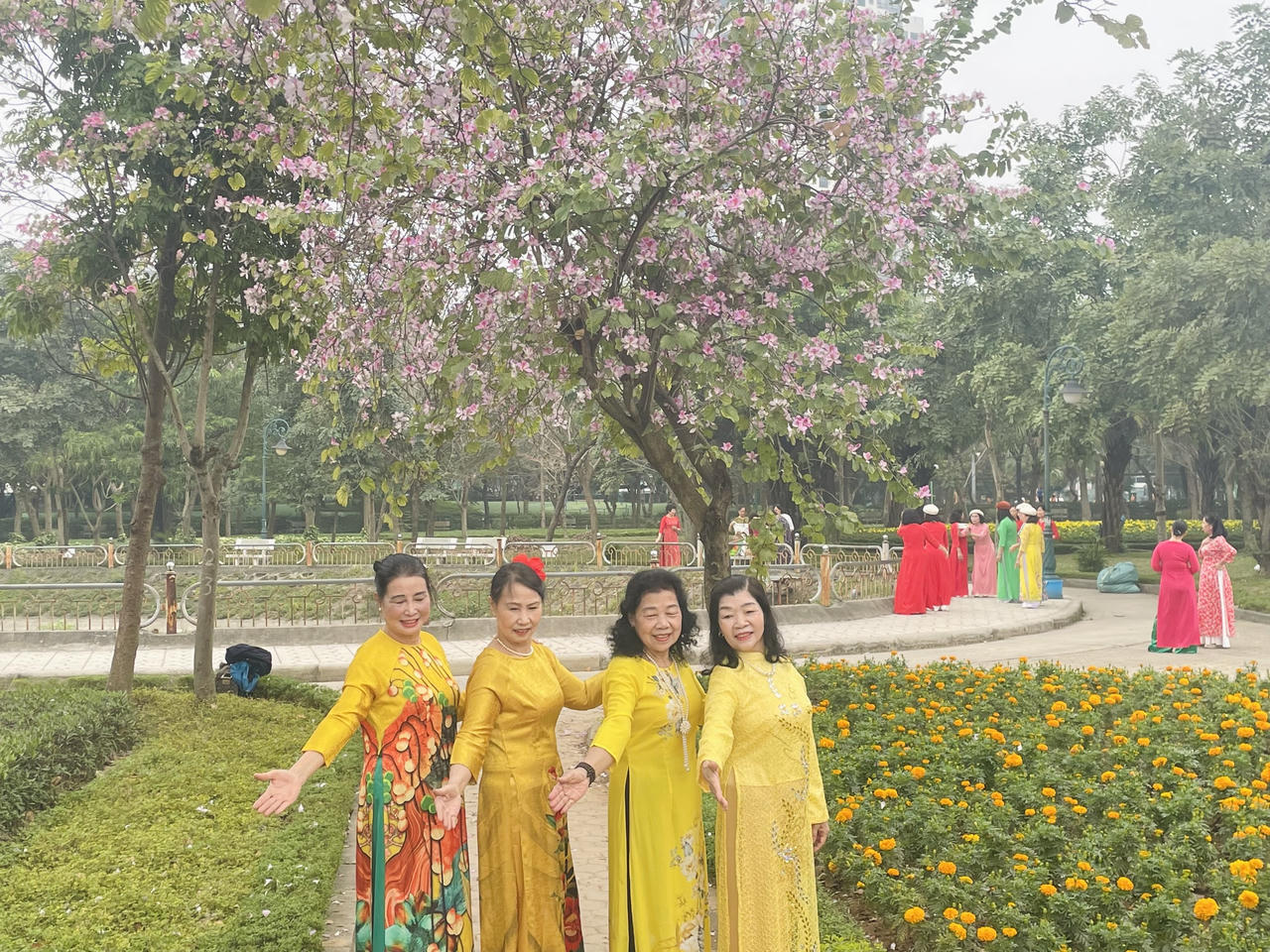 Người Hà Nội đội nắng chụp ảnh với loài hoa của núi rừng Tây Bắc