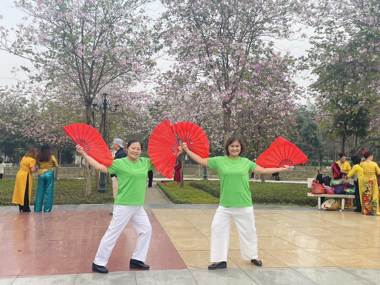 Người Hà Nội đội nắng chụp ảnh với loài hoa của núi rừng Tây Bắc