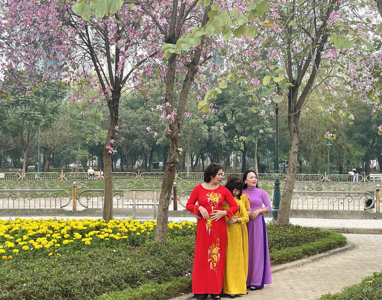 Người Hà Nội đội nắng chụp ảnh với loài hoa của núi rừng Tây Bắc