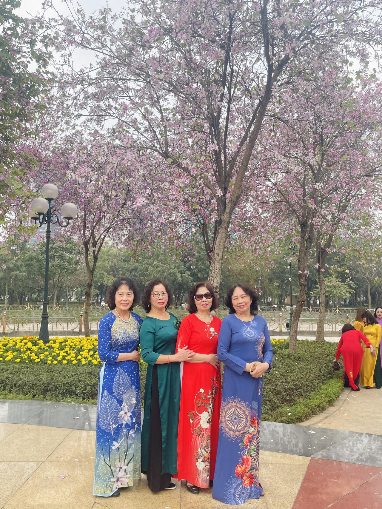 Người Hà Nội đội nắng chụp ảnh với loài hoa của núi rừng Tây Bắc