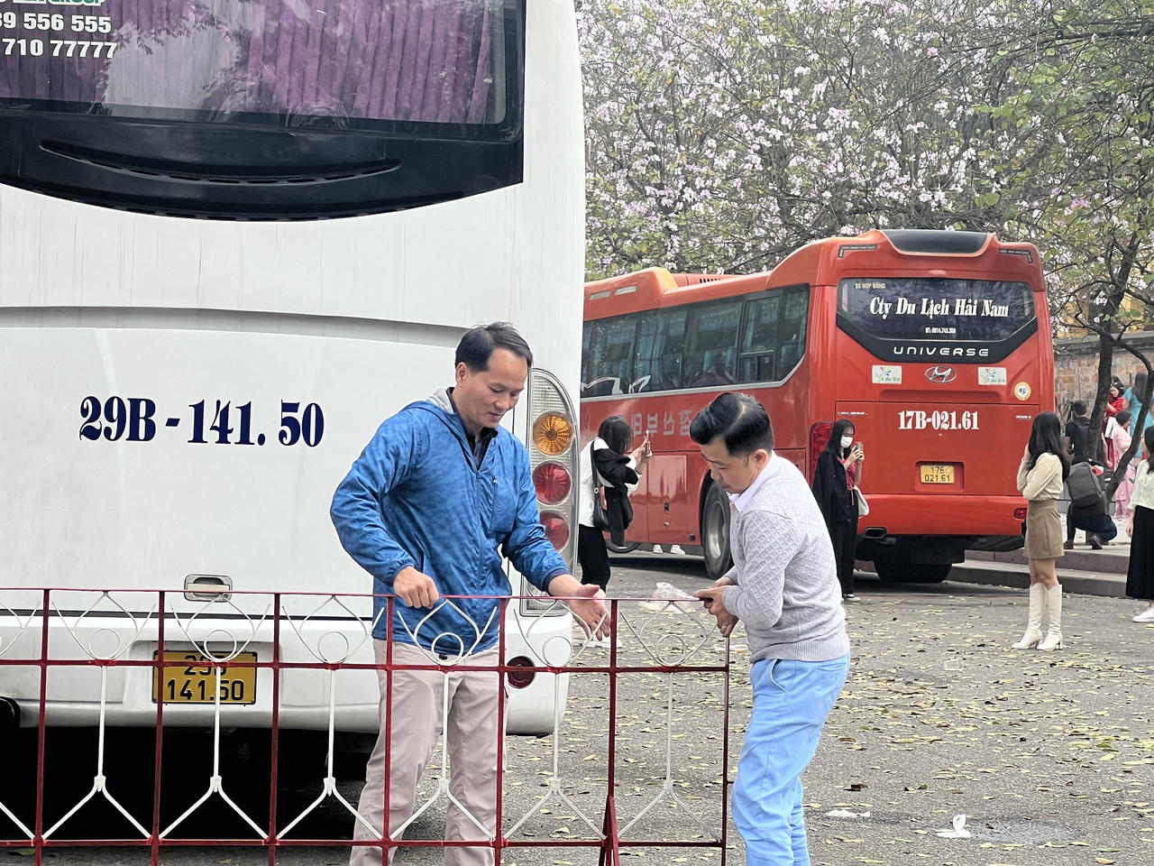 Người Hà Nội đội nắng chụp ảnh với loài hoa của núi rừng Tây Bắc