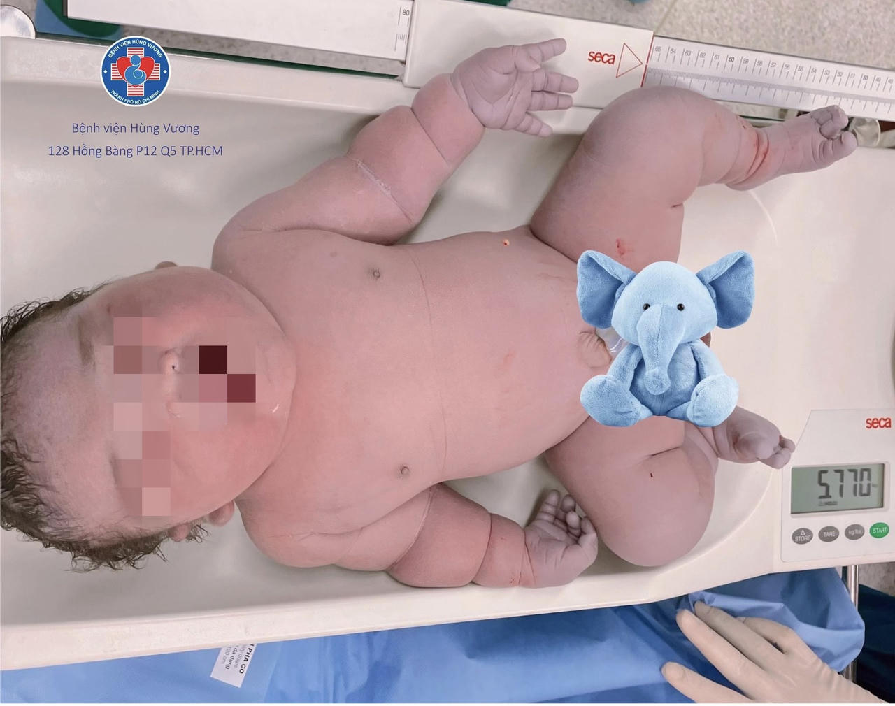 Bé trai mới chào đời nặng gần 6kg