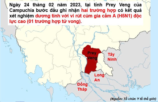 Chưa ghi nhận ca cúm A H5N1, TP HCM cảnh báo nguy cơ xâm nhập từ chợ đầu mối
