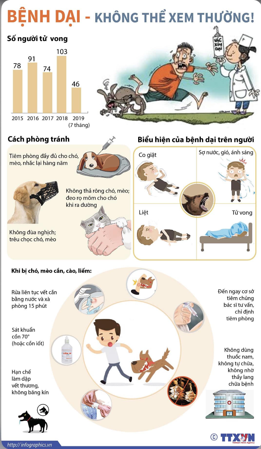 Người phụ nữ tử vong sau 3 tháng bị chó nhà cắn