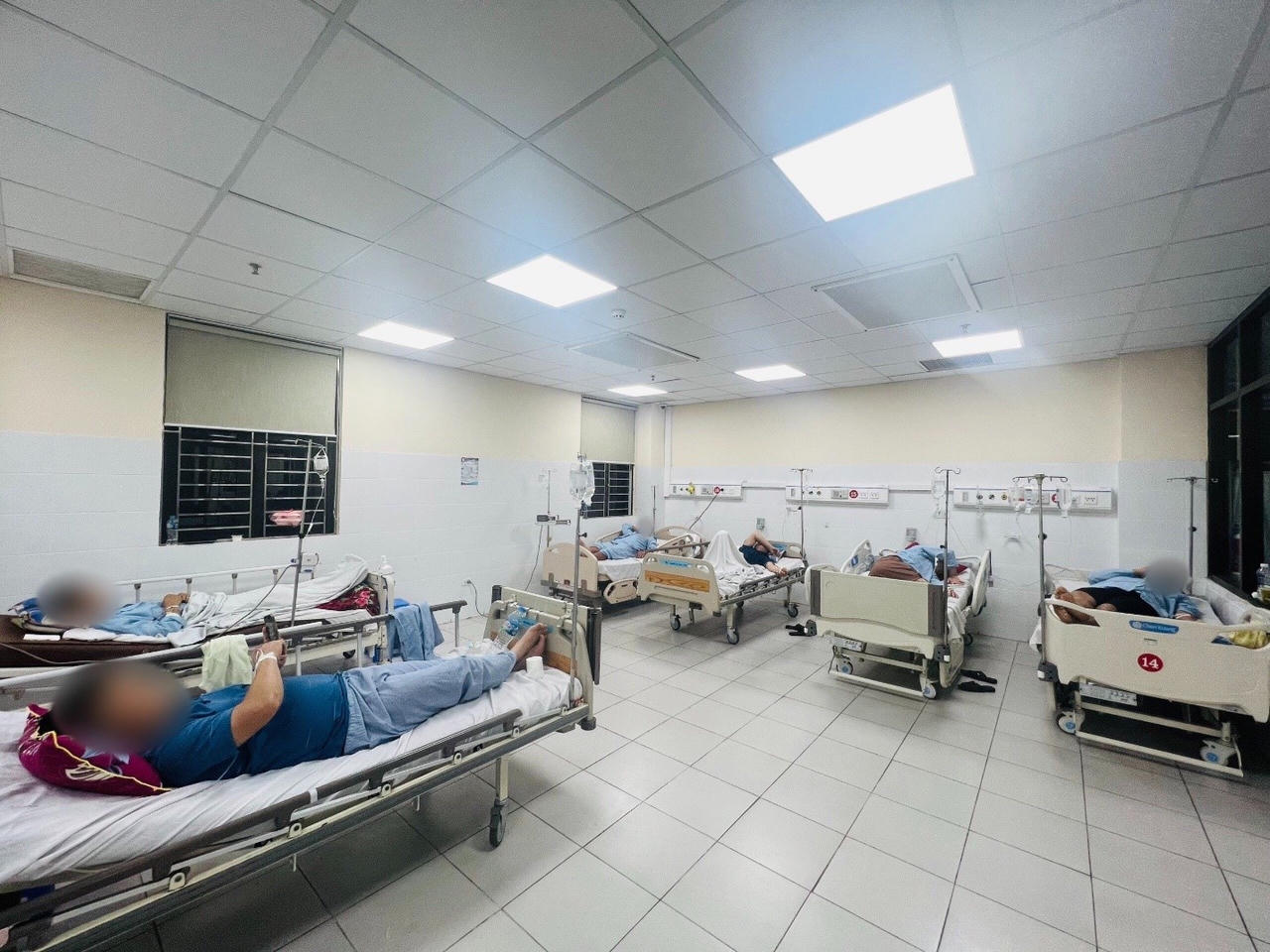 6 người nhập viện sau khi ăn trứng cá sấu hỏa tiễn