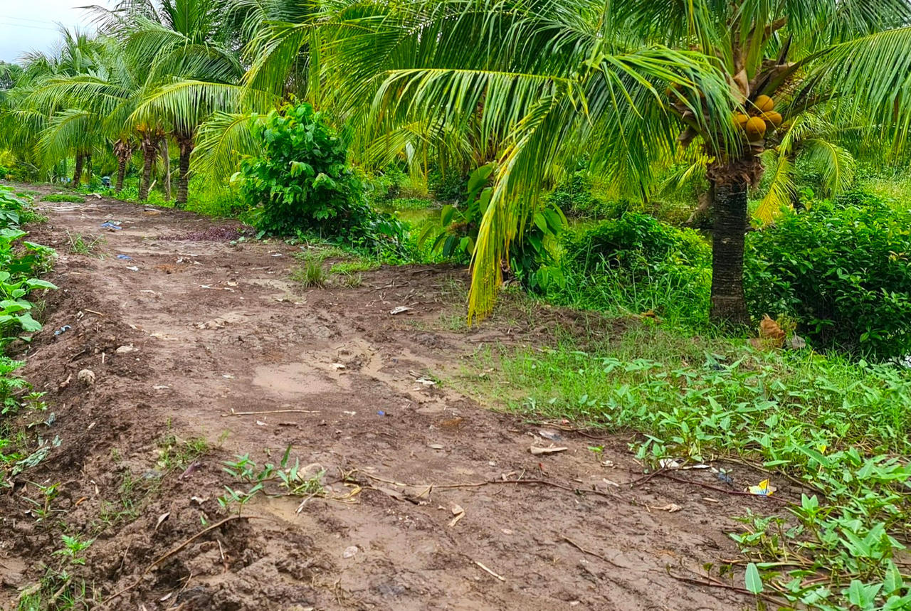 Người dân ở Khu di tích bác Ba Phi mong chờ đường kết nối