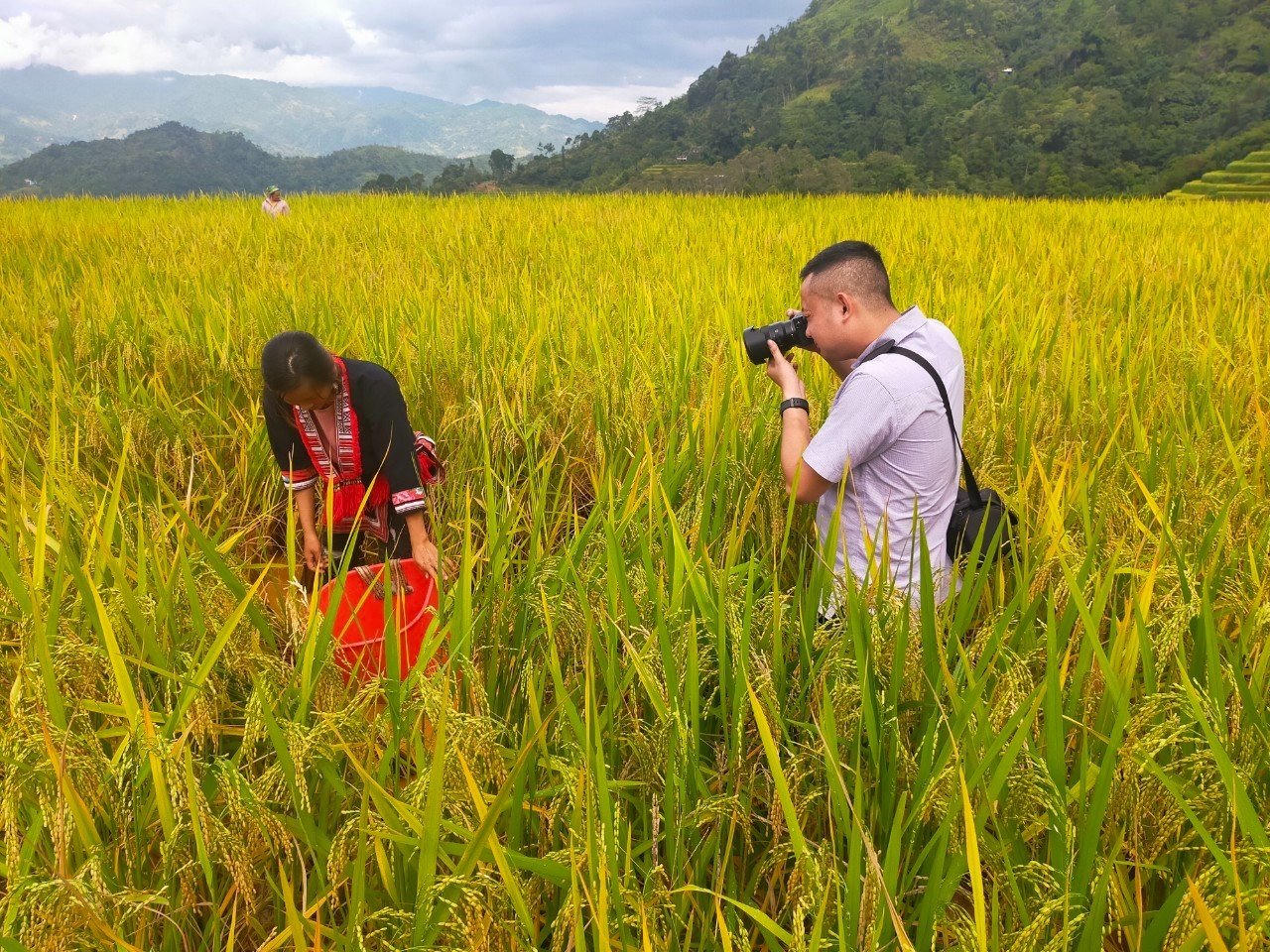 Phóng viên thường trú: Trèo đèo, lội suối, băng rừng để tiếp cận thông tin