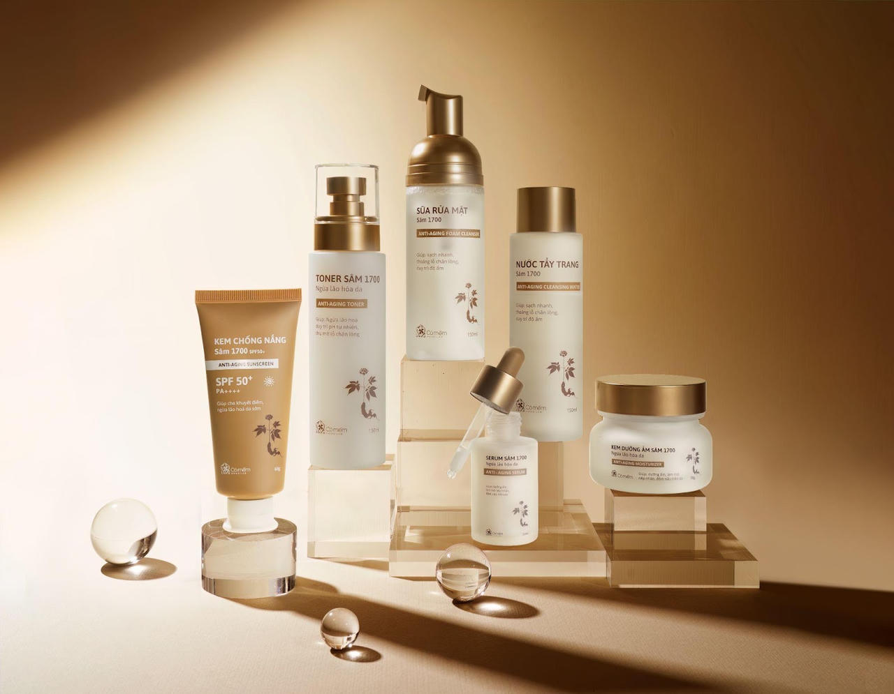 Cỏ Mềm hưởng ứng lời kêu gọi phát triển cây sâm của tỉnh Lai Châu