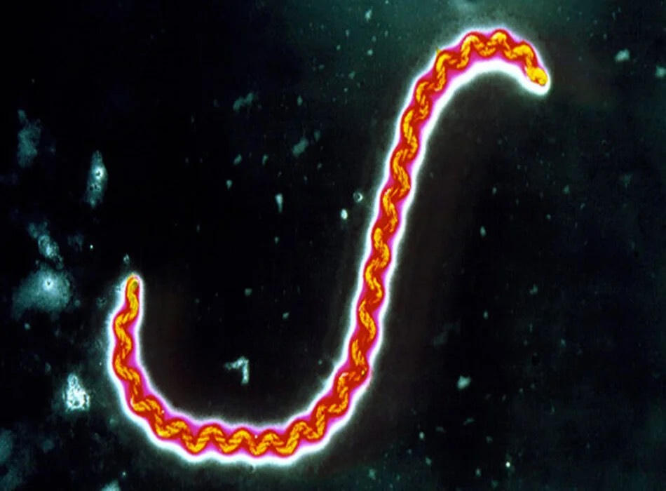 Người đàn ông suy gan, suy thận sau lần đi chơi thác