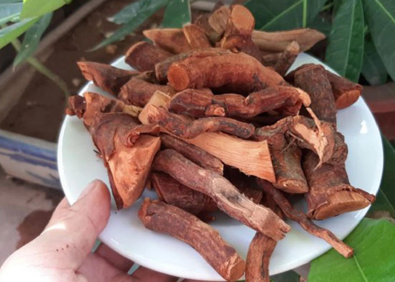 4 người ở Nghệ An nói nhảm, la hét, hoảng loạn... sau uống nước cây mú từn