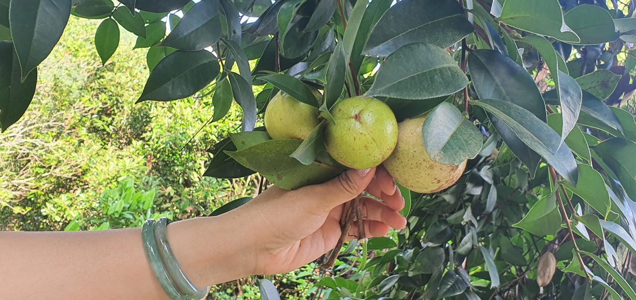 Ngang qua Bình yên ở Bình Liêu