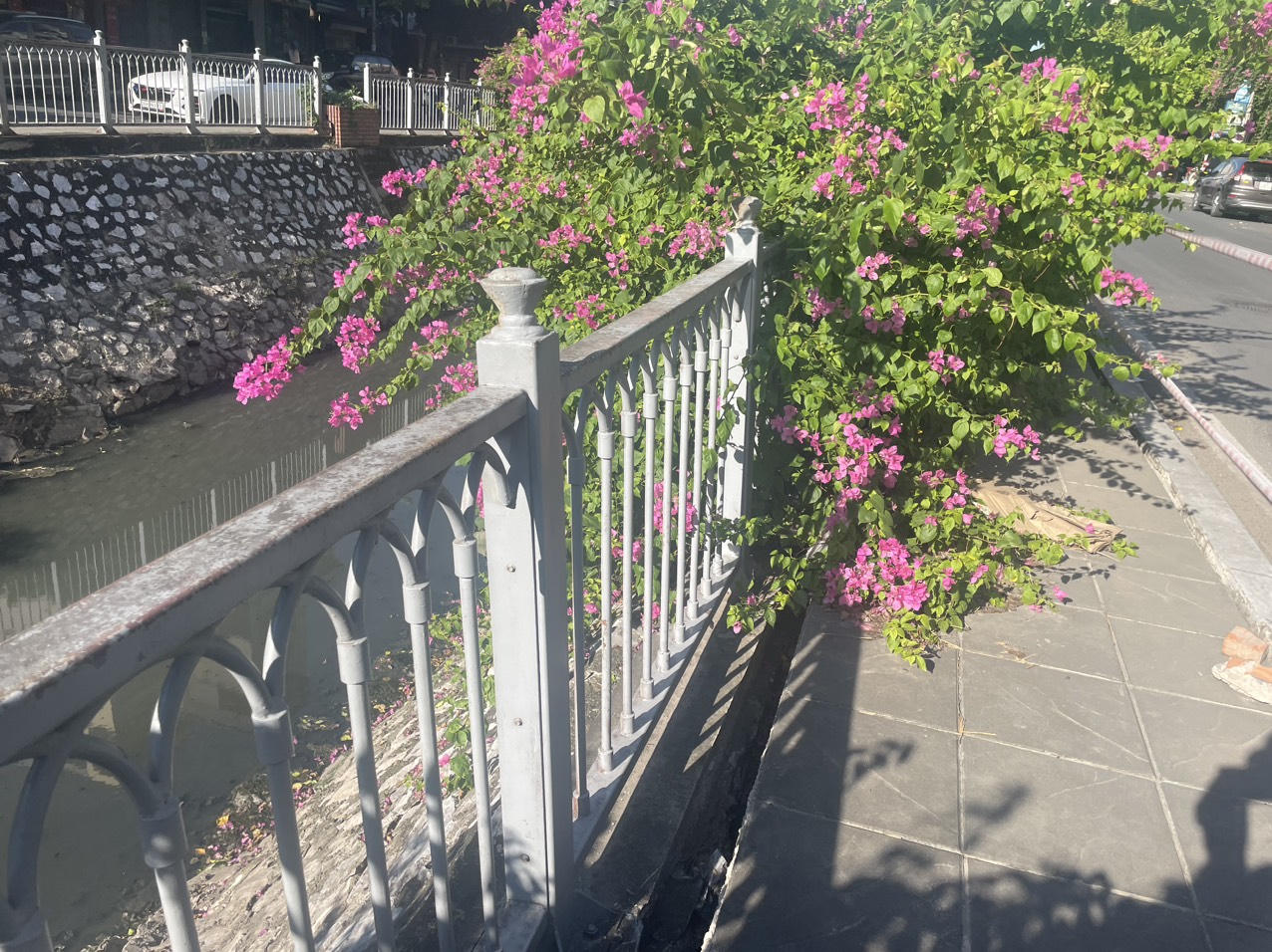 Vỉa hè đường Mạc Thái Tổ bất ngờ sụt lún