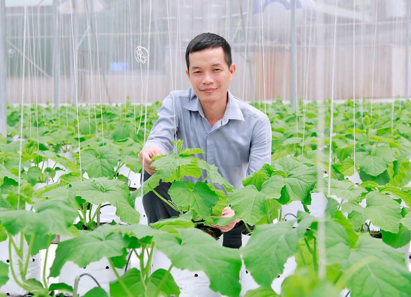 OCOP tạo không gian phát triển cho sản phẩm đặc trưng của Hợp tác xã