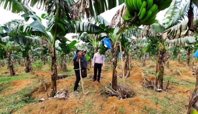 Thừa Thiên Huế: Kỳ vọng sớm đưa A Lưới ra khỏi danh sách huyện nghèo