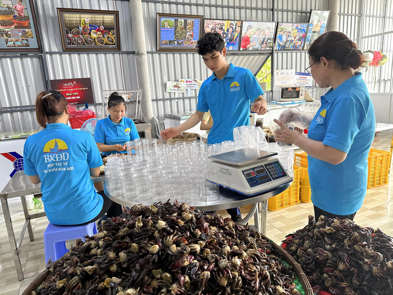 Hành trình xây dựng thương hiệu 'Ba khía Đầm Dơi'