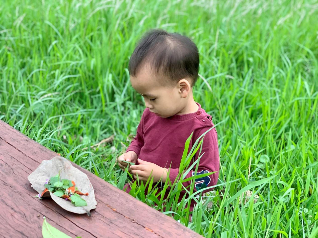 Vùng đất của những đứa trẻ hạnh phúc 